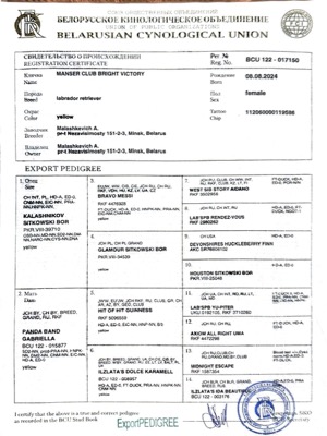 Родословная