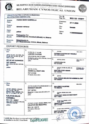 Родословная