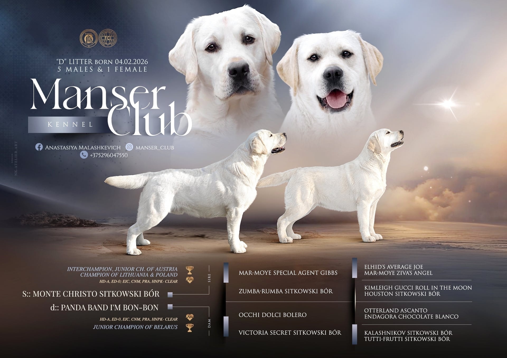 Помёт от I AM BON-BON (D)