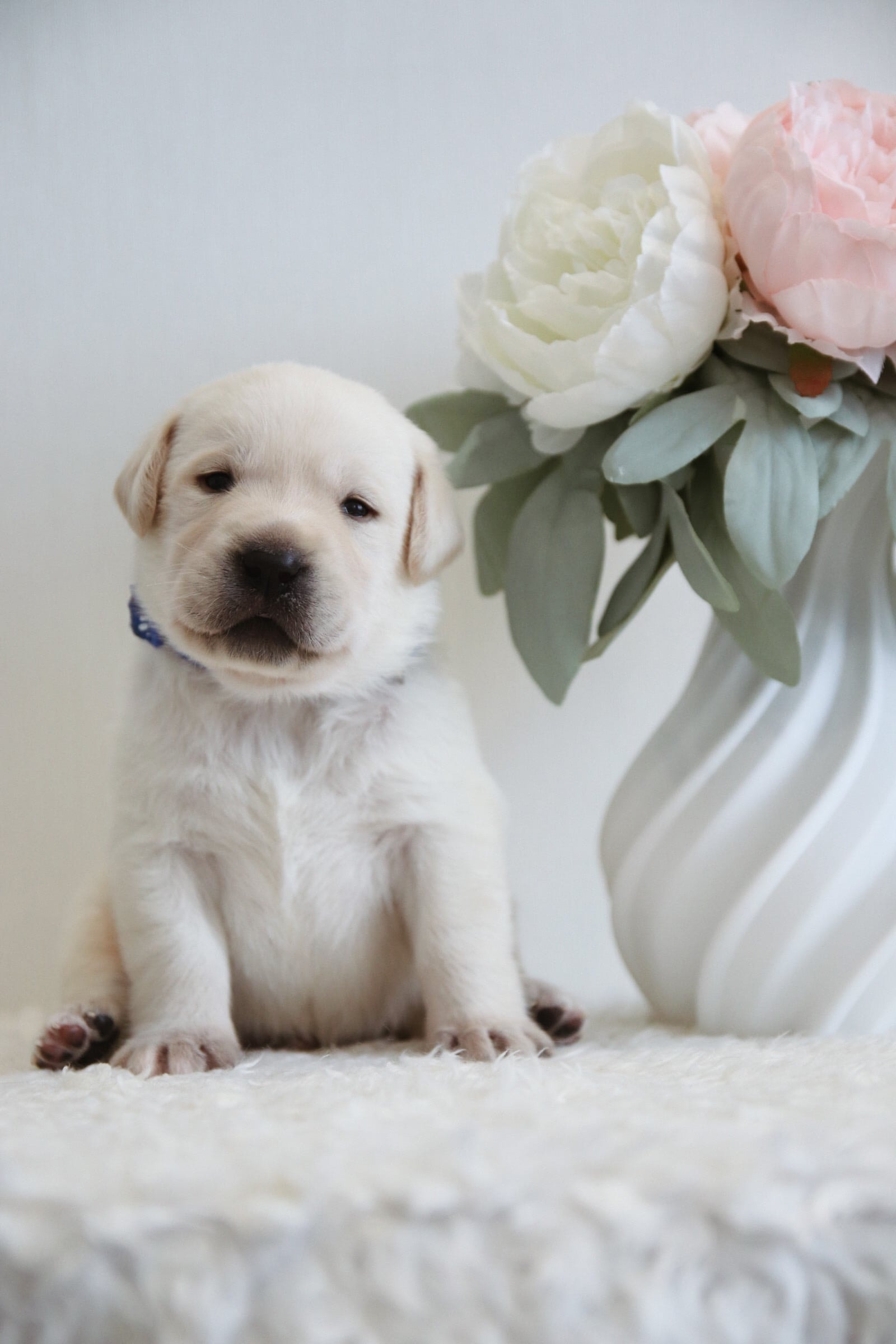 Фото: Помёт от I AM BON-BON (D)