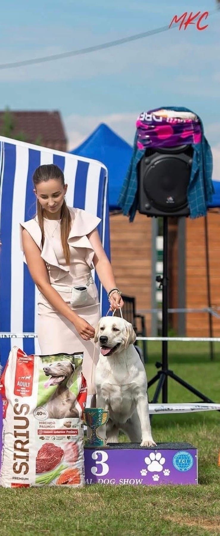 Фото: MANSER CLUB BRIGHT VICTORY