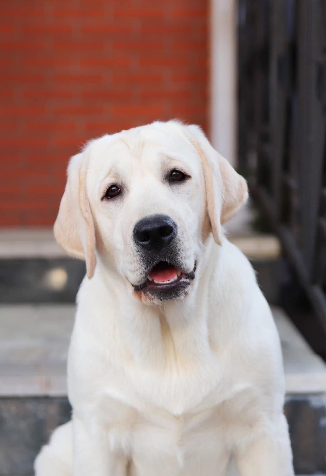 Фото: MANSER CLUB BRIGHT VICTORY