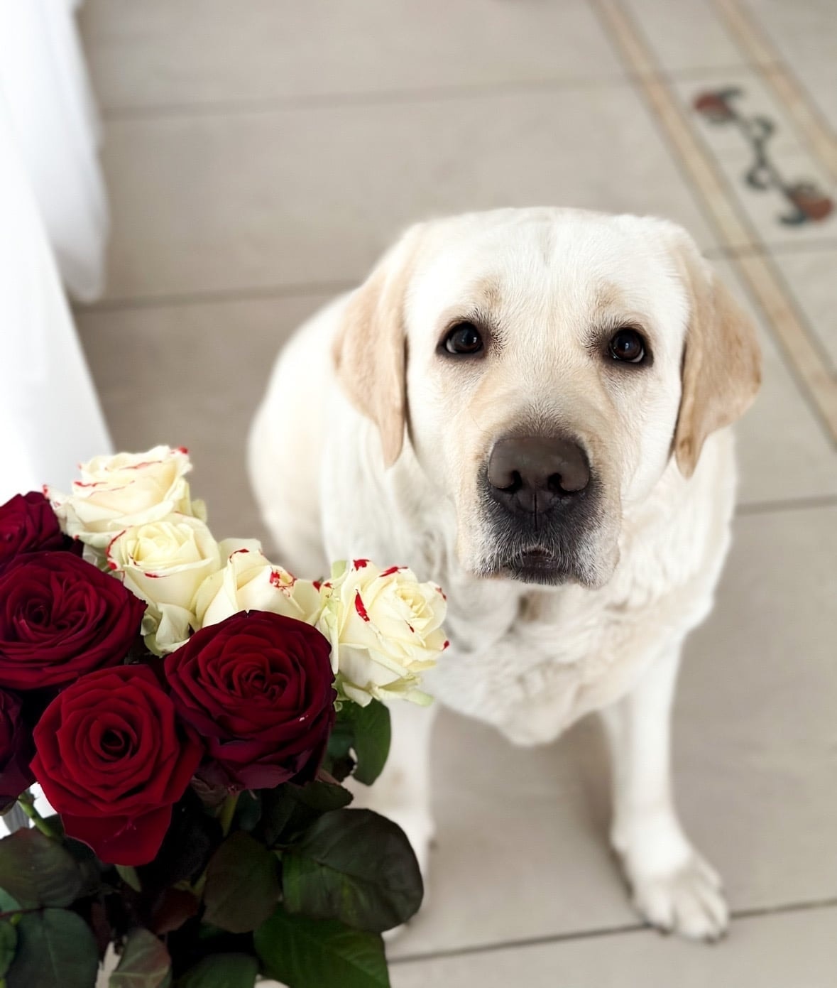 Фото: Panda Band Gabriella