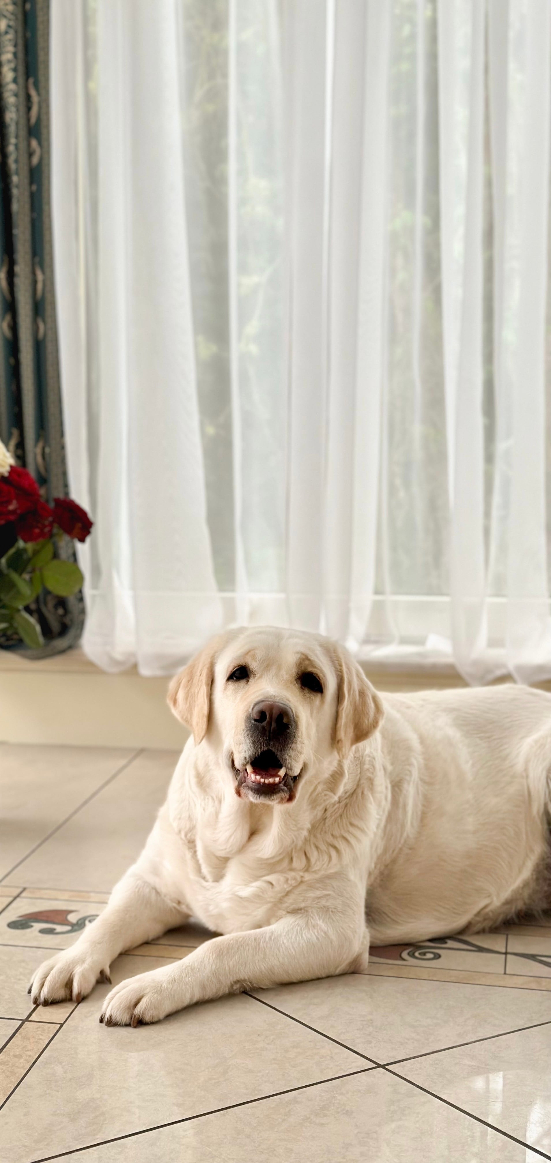 Фото: Panda Band Gabriella