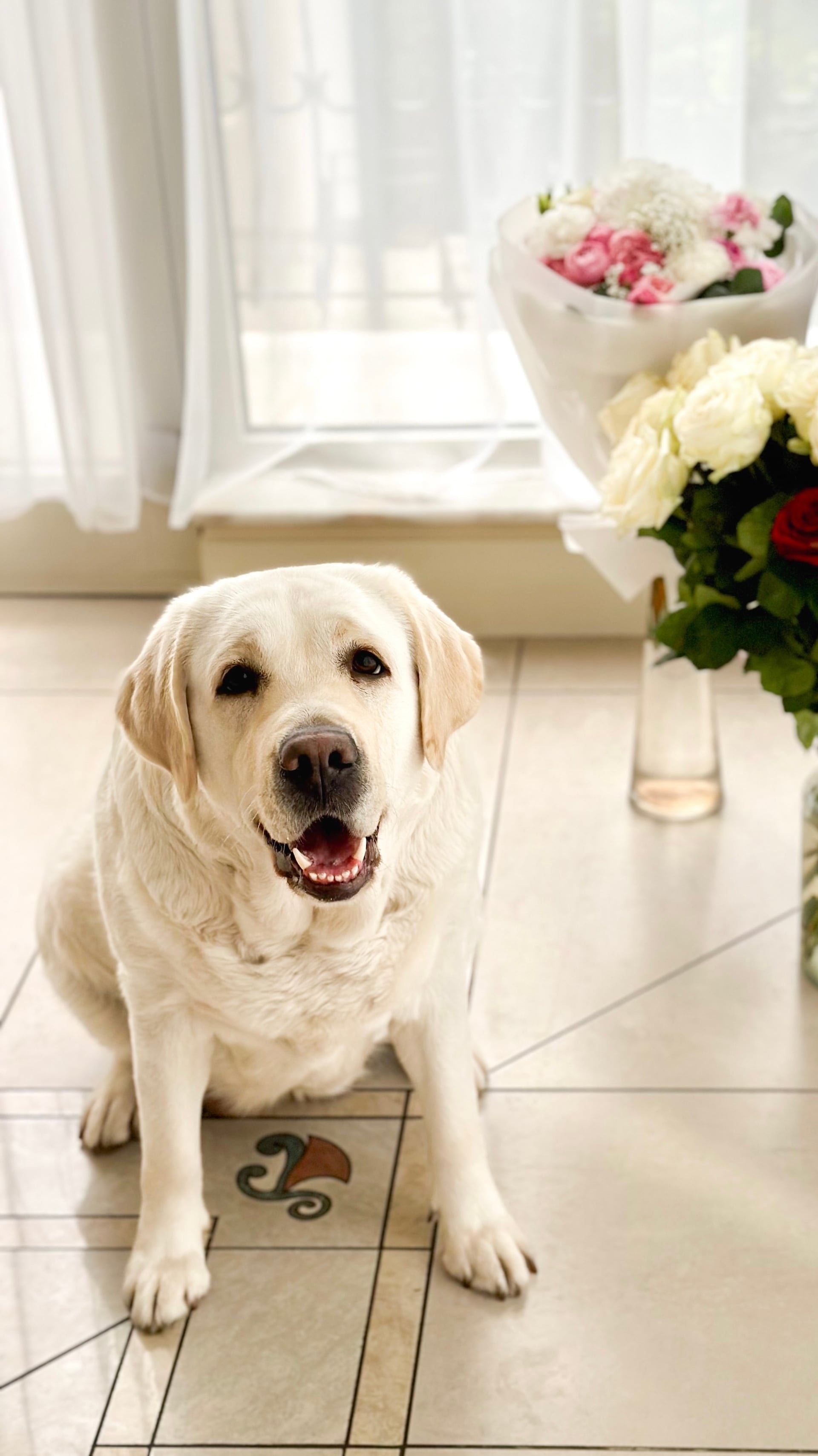 Фото: Panda Band Gabriella