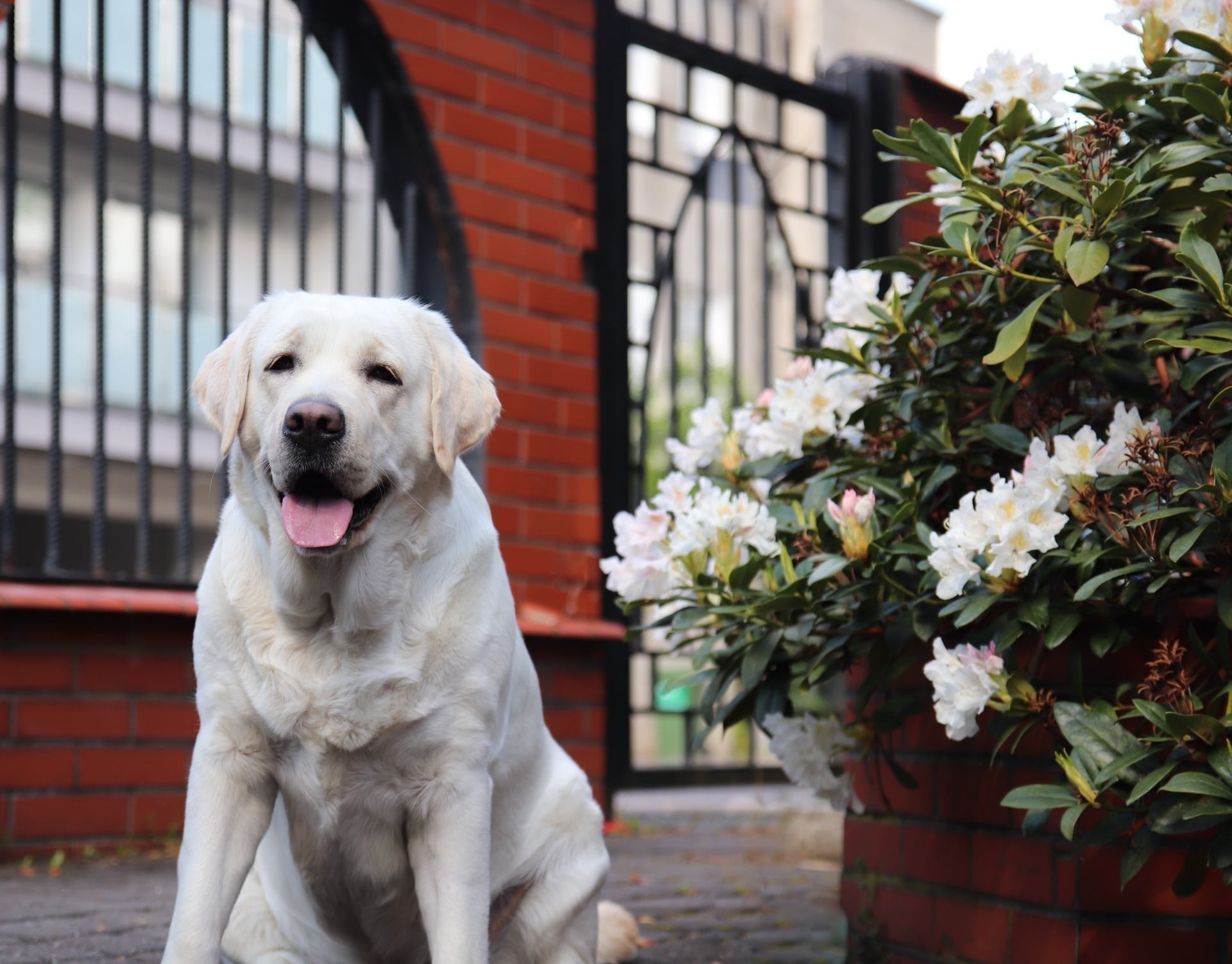 Фото: Panda Band Gabriella