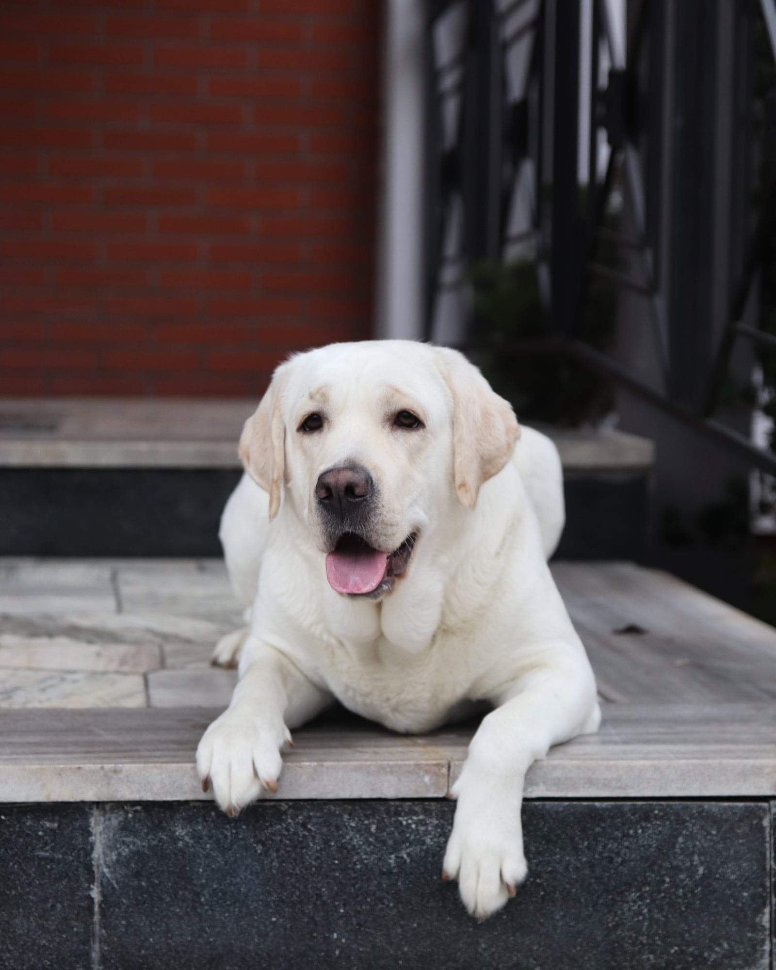 Фото: Panda Band Gabriella