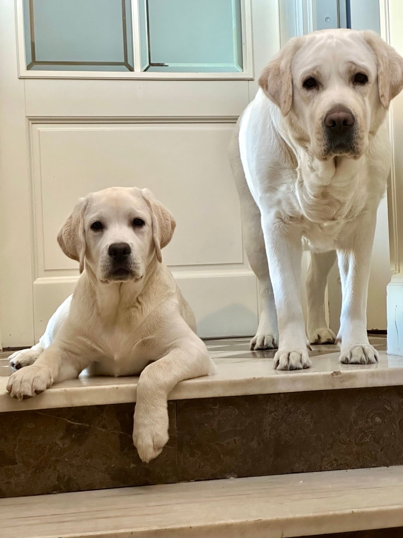 Фото: Panda Band Gabriella