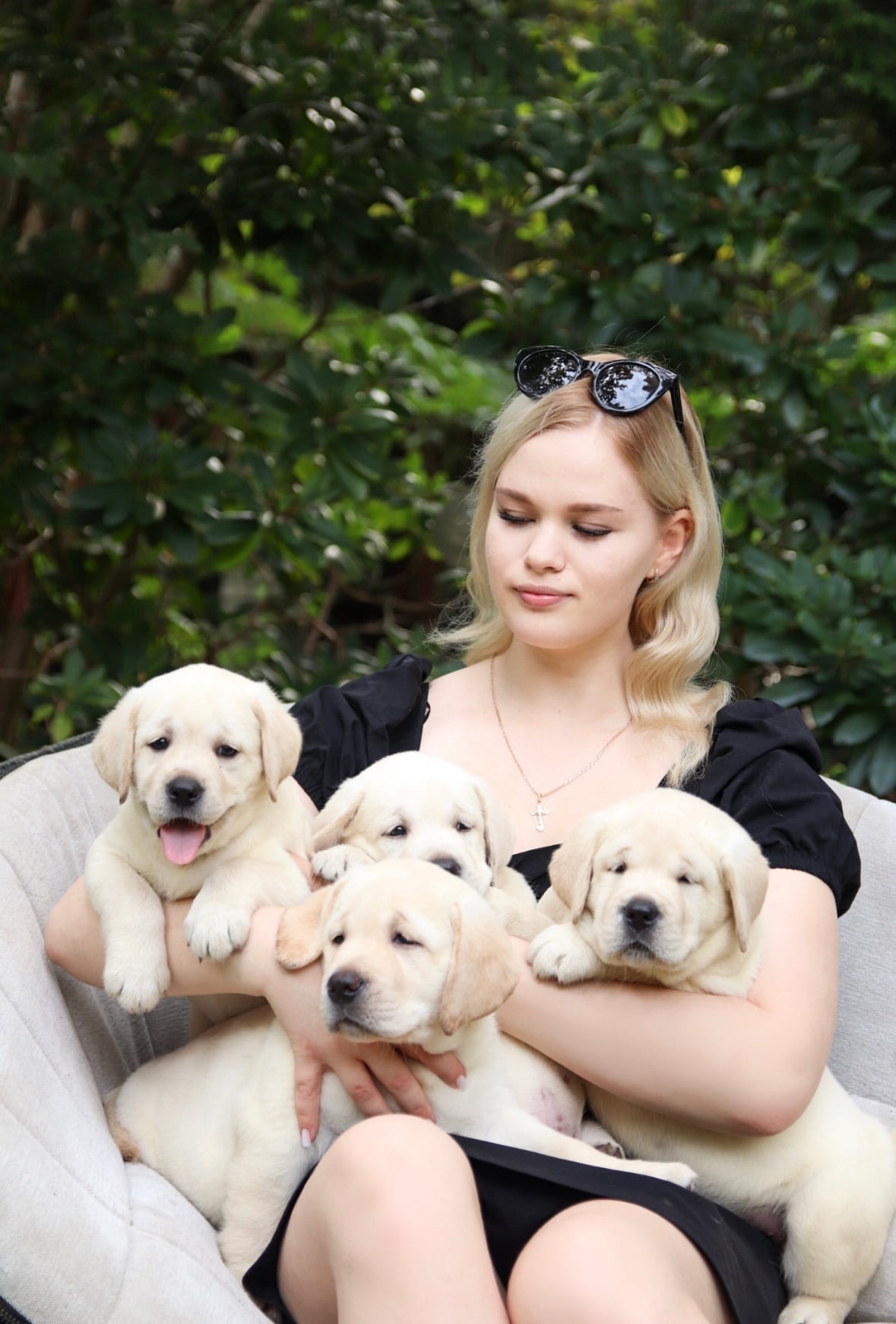 Фото из галереи питомника