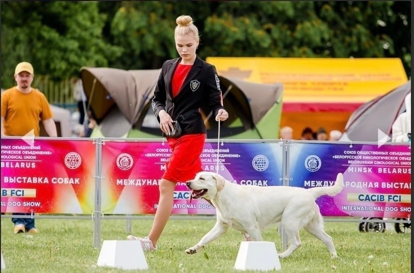 Фото из галереи питомника