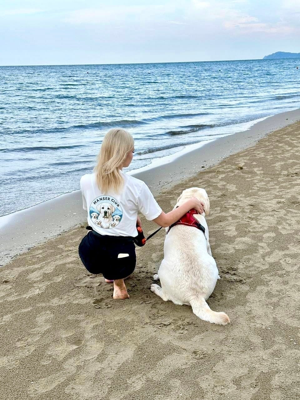 Фото из галереи питомника