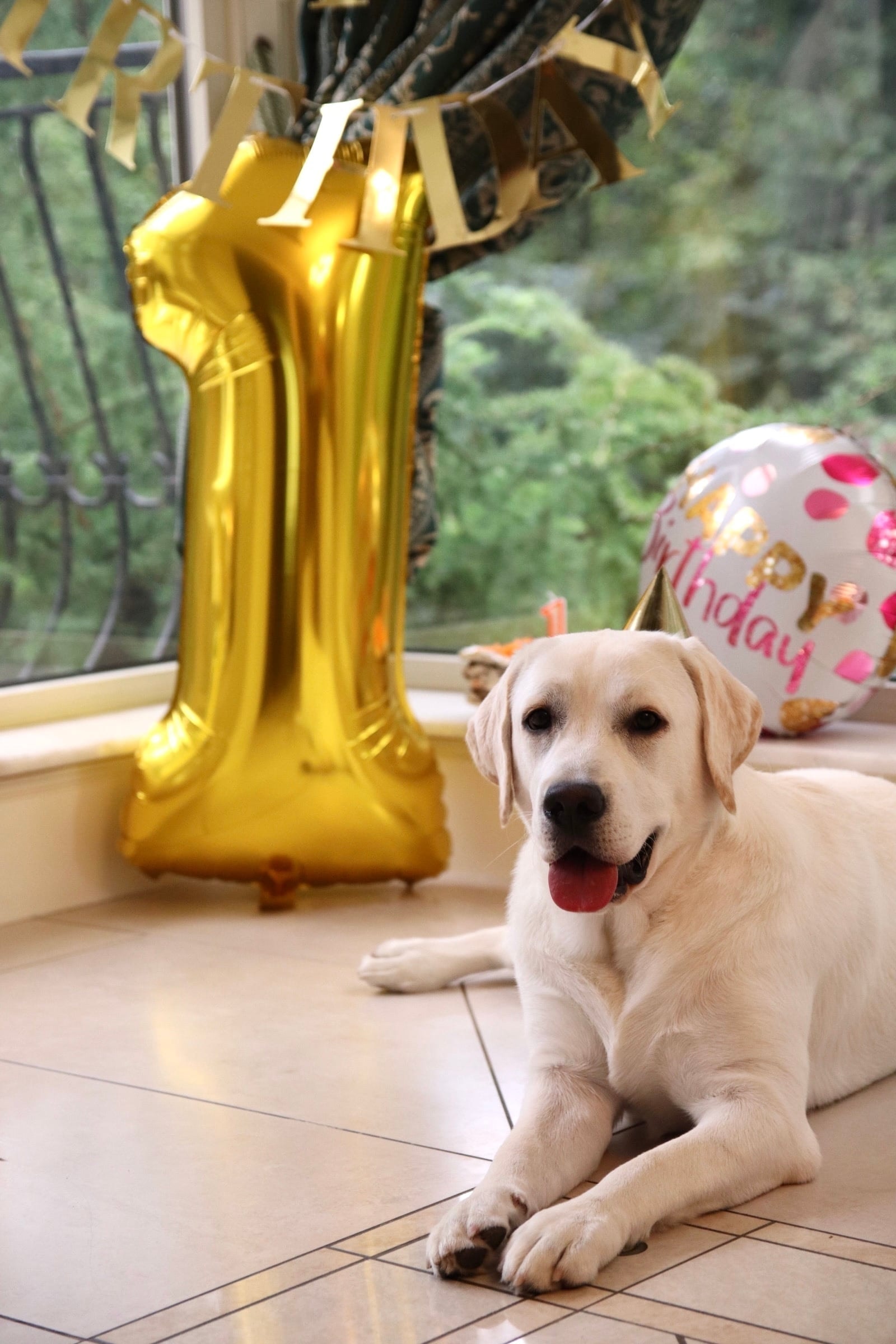 Фото из галереи питомника