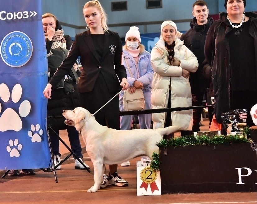 Фото из галереи питомника