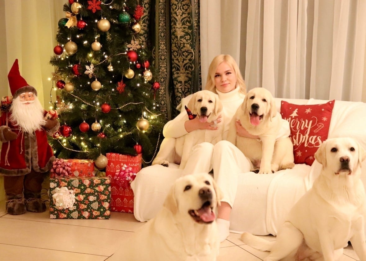 Фото из галереи питомника