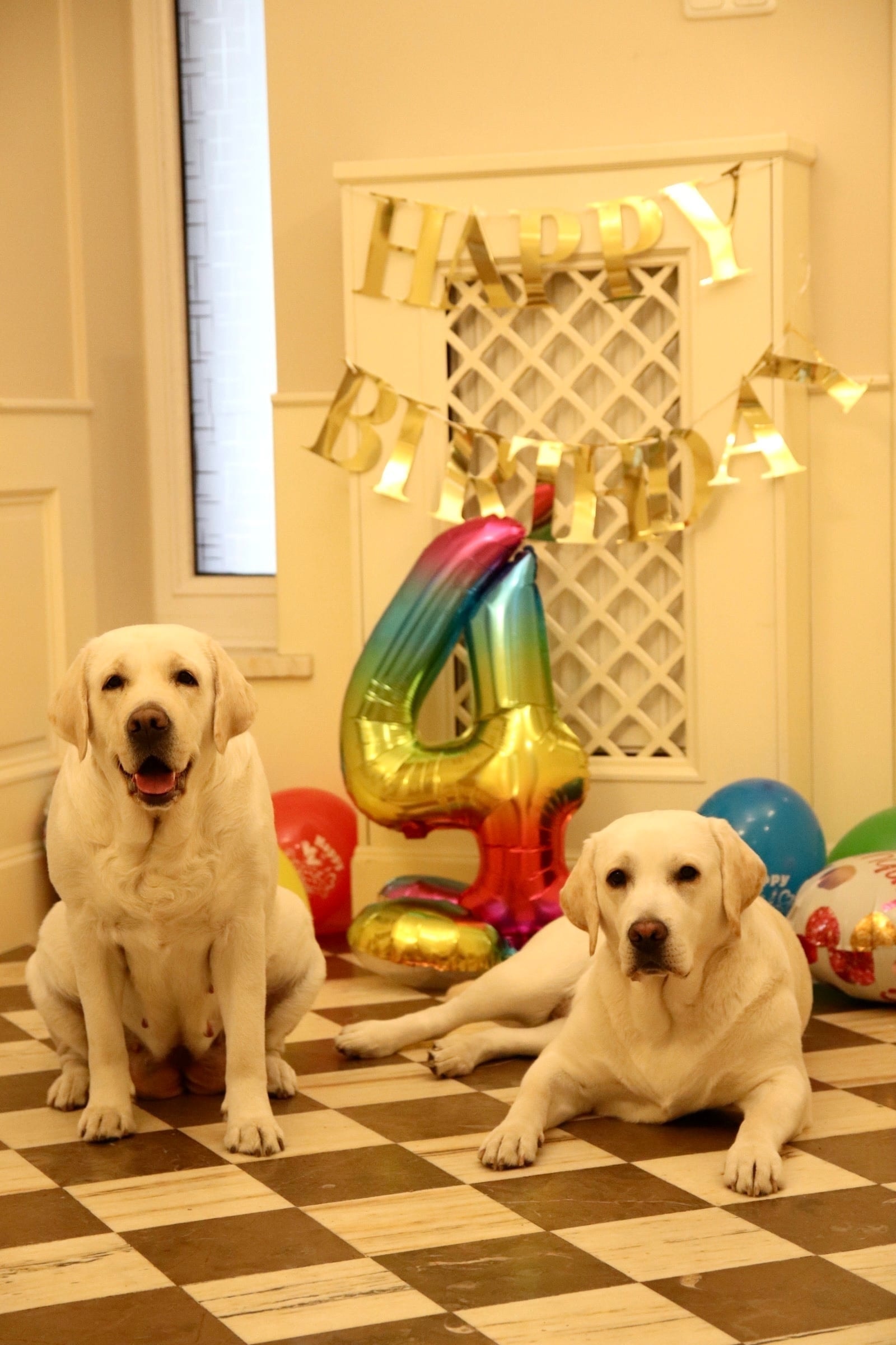 Фото из галереи питомника