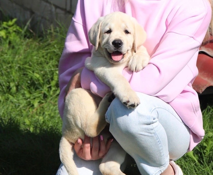 Фото: Помёт от GABRIELLA (A)