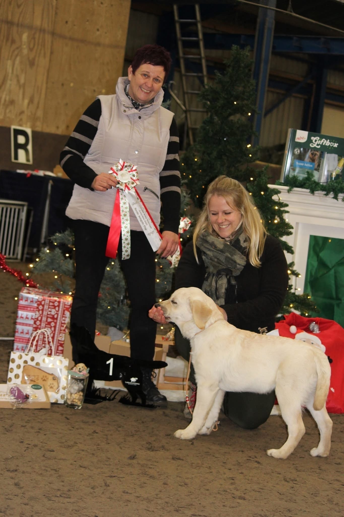 Фото: Помёт от GABRIELLA (B)