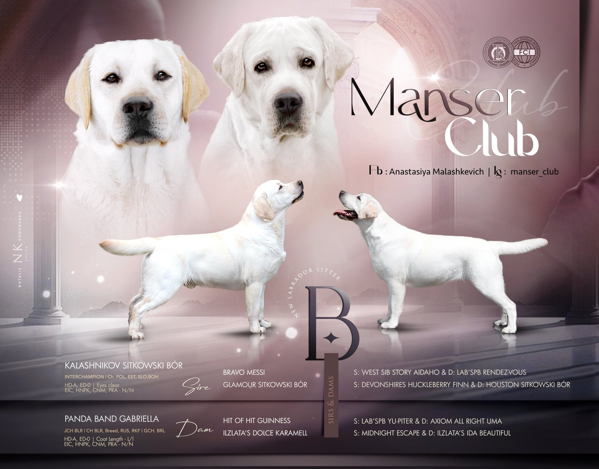 Помёт от GABRIELLA (B)