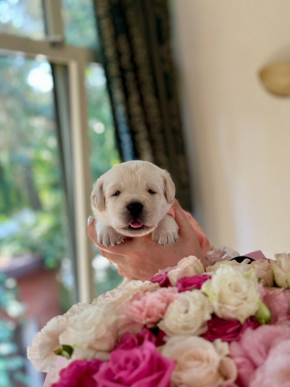 Фото: Помёт от GABRIELLA (B)